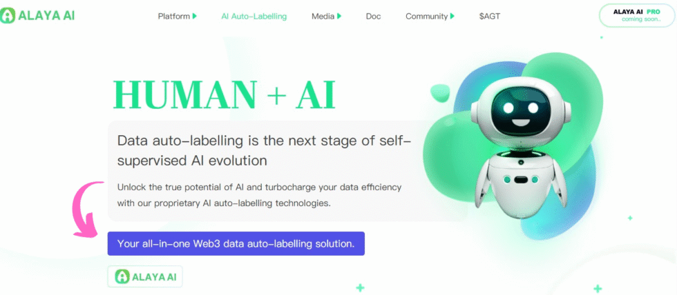 Alaya AI Auto Labelling