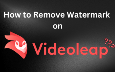 How to Remove Watermark on Videoleap in 2024
