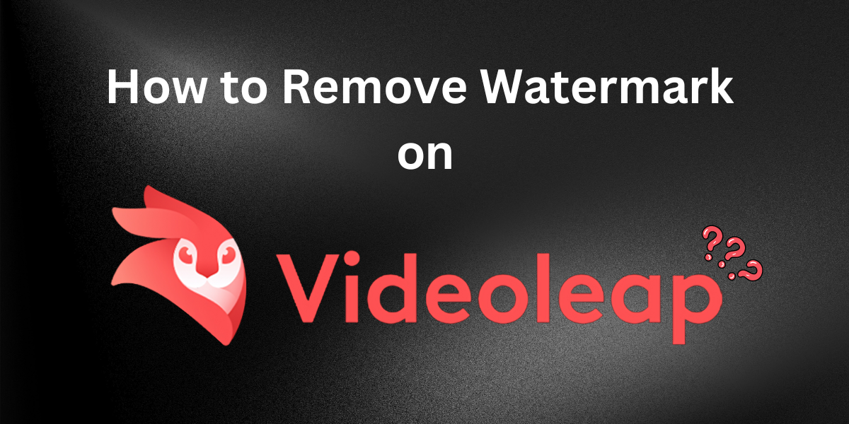 How to Remove Watermark on Videoleap
