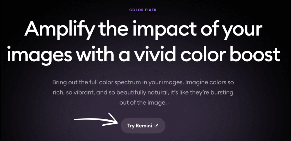 Remini AI Colour Fixer