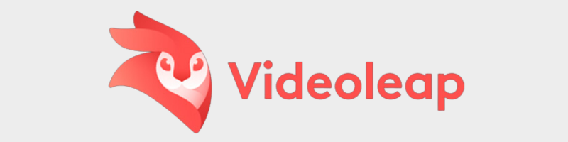 VideoLeap