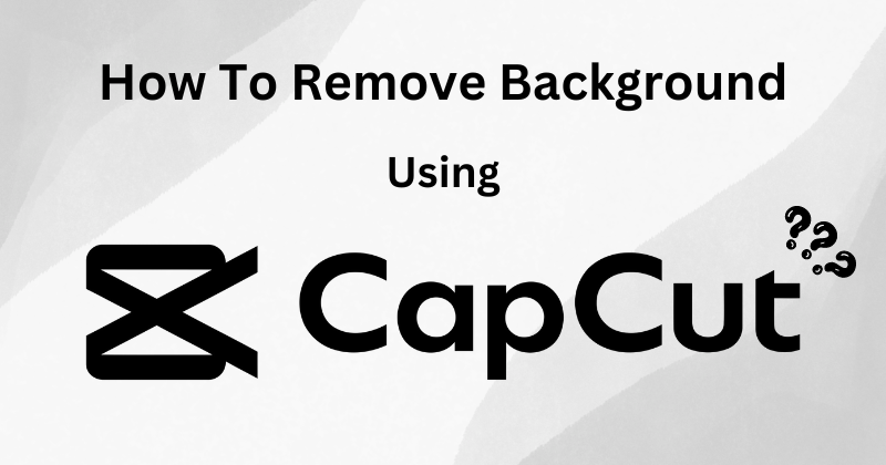 remove background using CapCut