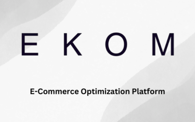 Ekom AI Review 2024: Best E-Commerce Optimization Tool?