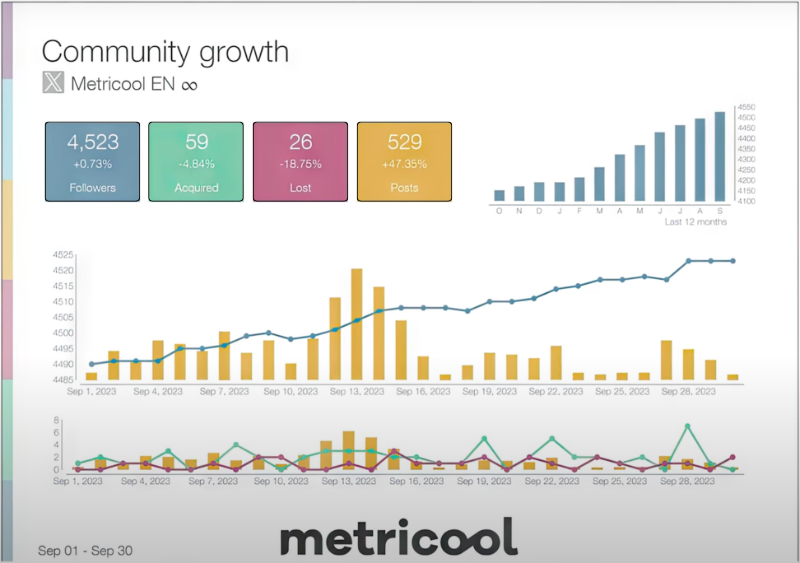 Metricool analysis