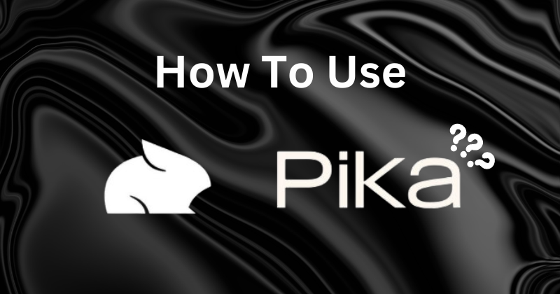 How to Use Pika Labs