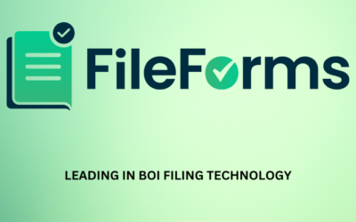 FileForms Review: Fastest, Easy, and Secure BOI Filing in 2024?