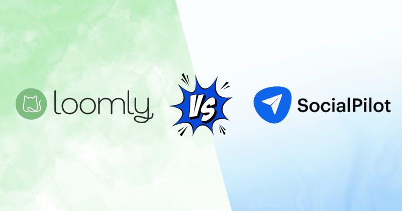 loomly vs socialpilot