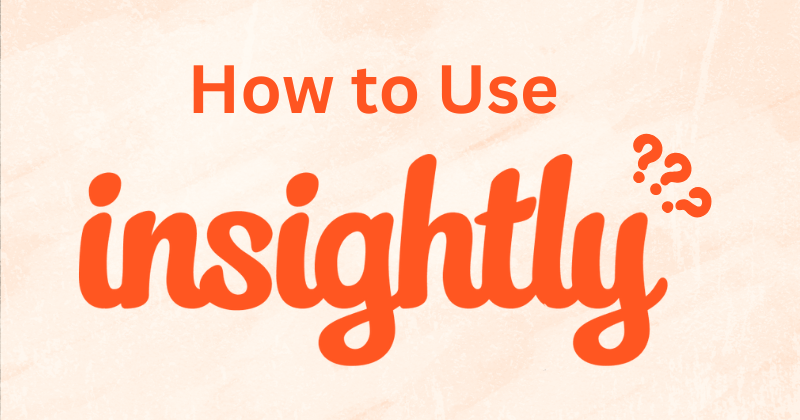 How to Use Insightly: A Complete Guideline in 2025