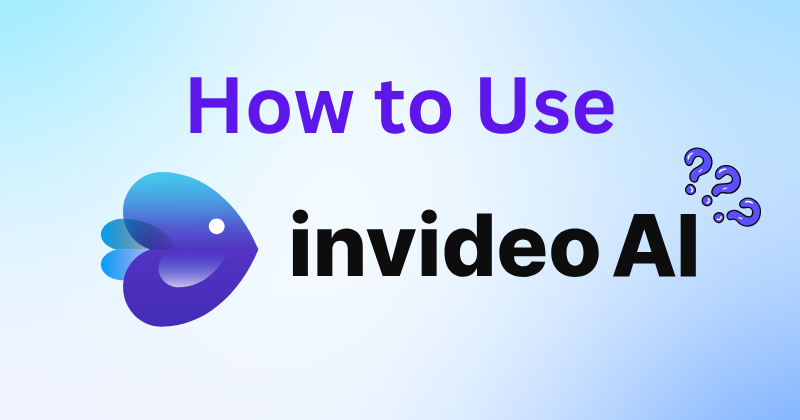 how to use invideo