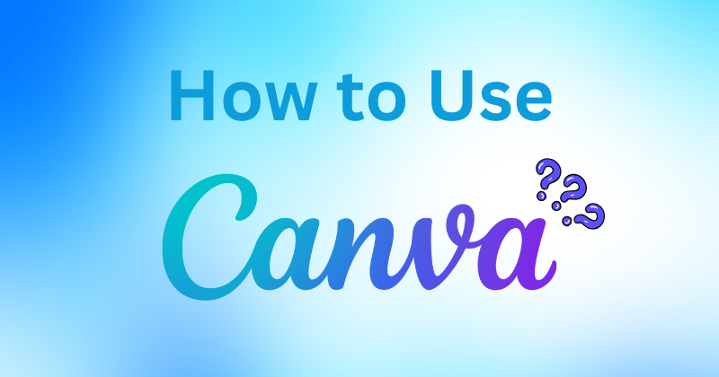 how to use canva