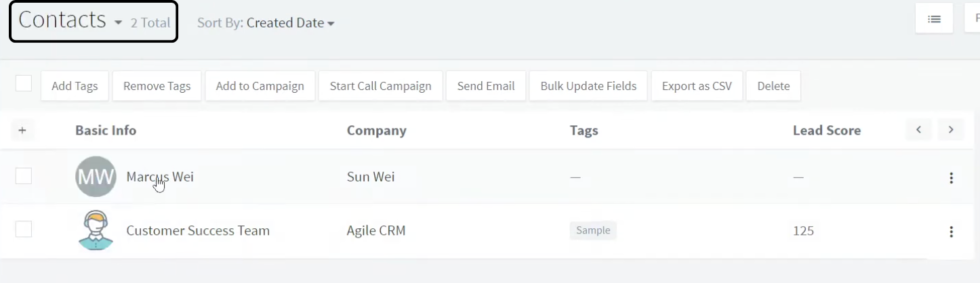 Agile CRM Contact Management