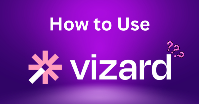 how to use vizard