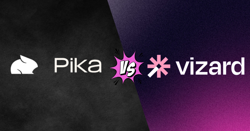 pika vs Vizard