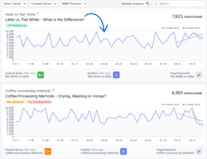 Dashword content monitoring