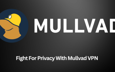 Mullvad VPN Review: Best VPN Service For You in 2025?