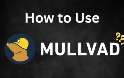 How to Use Mullvad VPN: A Guide for Beginners in 2025