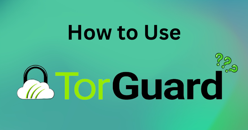 How to Use TorGuard