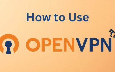 How to Use OpenVPN: A Step-by-Step Guideline in 2025