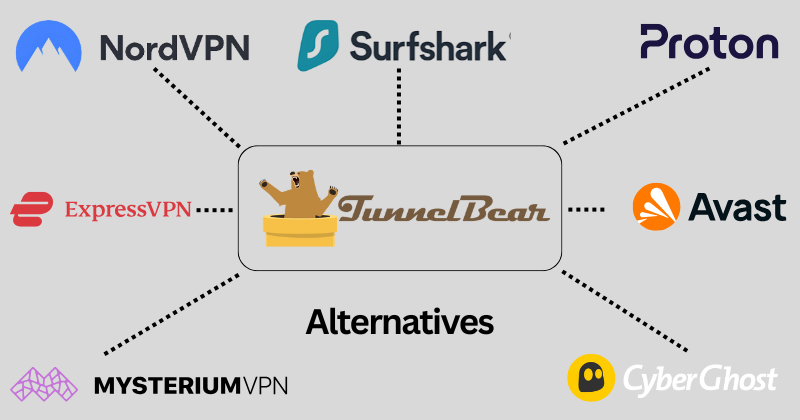 TunnelBear Alternatives