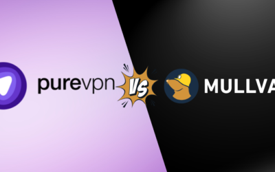 PureVPN vs Mullvad: Best VPN for Privacy in 2025?