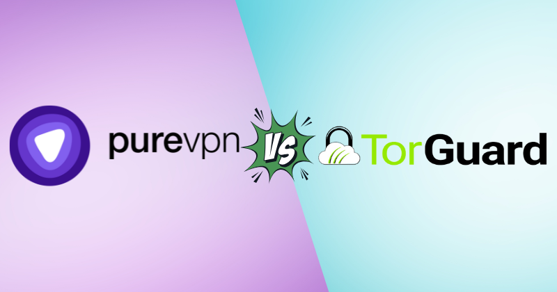 purevpn vs torguard