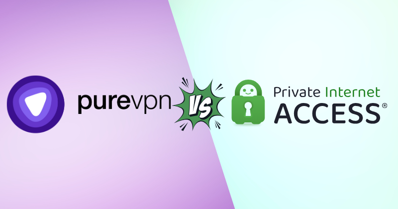 purevbn vs private internet access