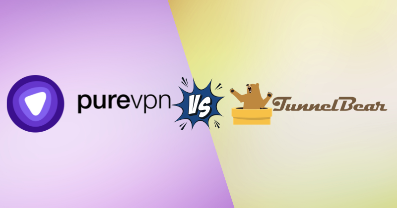 purevpn vs tunnelbear