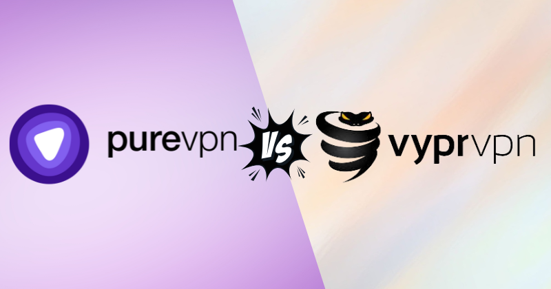 purevpn vs vyprvpn