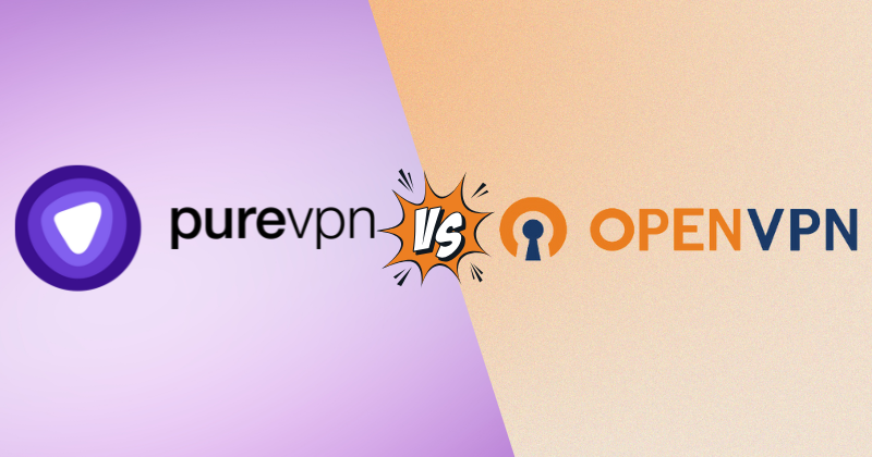 purevpn vs openvpn