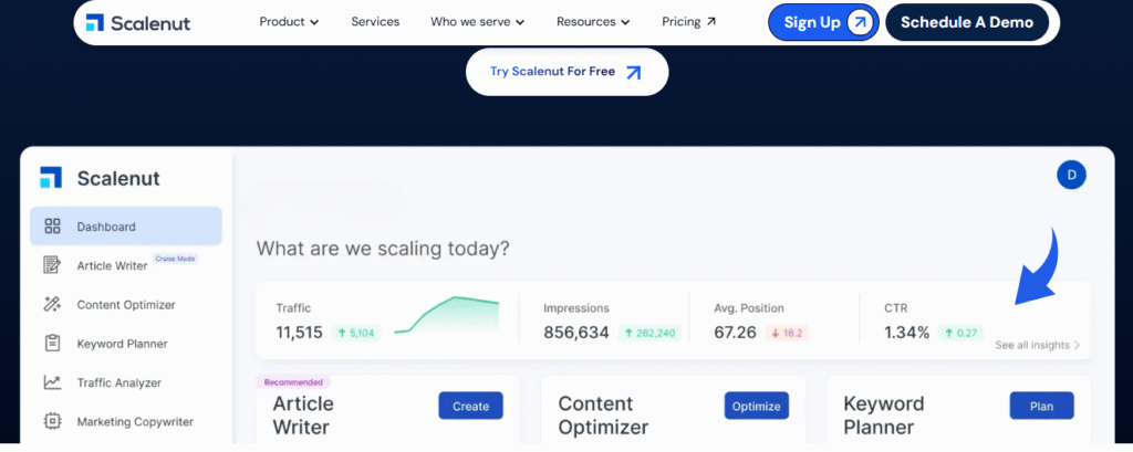 Scalenut Traffic Analyzer