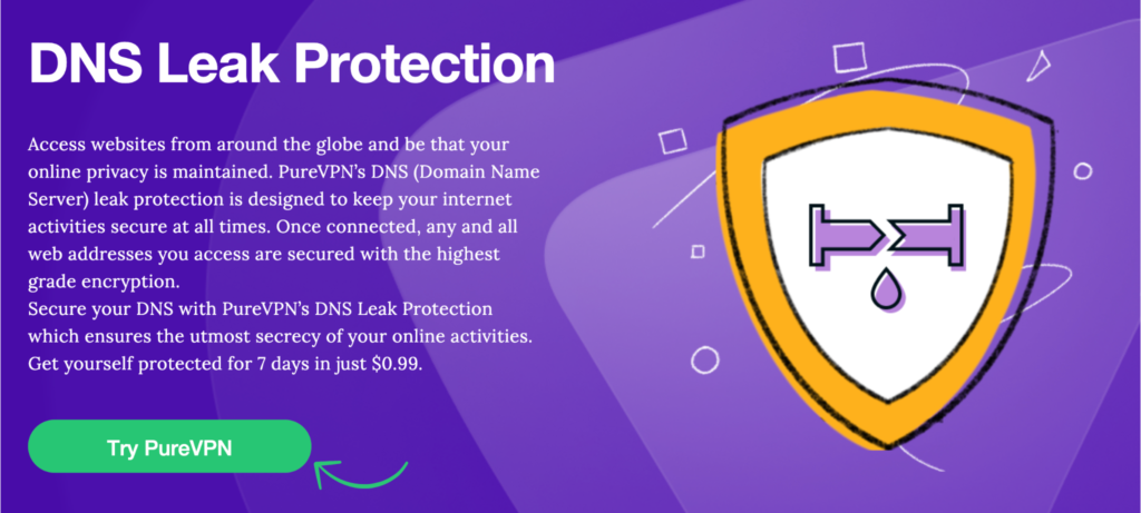 DNS leak protection