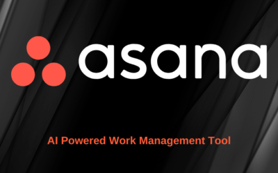 Asana Review 2025: Task Management Tool for Your Team