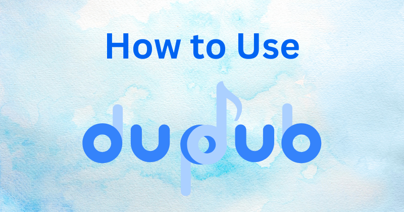 how to use dupdub