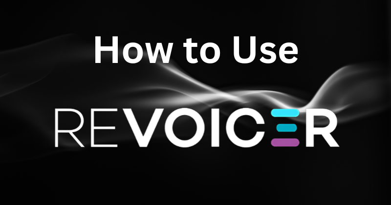 how to use revoicer