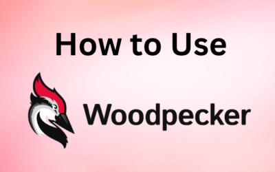 How to Use Woodpecker: A Step-by-Step Guideline in 2025