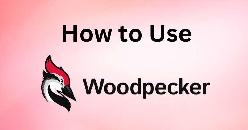 How to Use Woodpecker