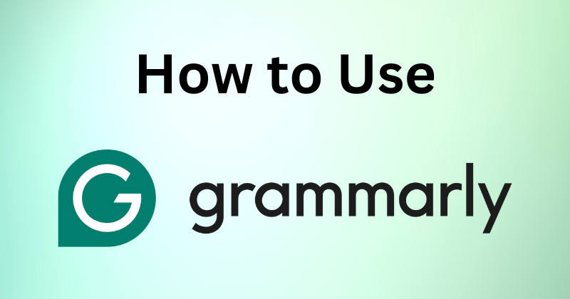 how to use grammarly