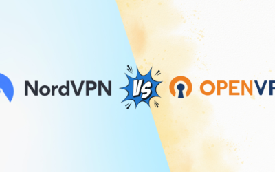 NordVPN vs OpenVPN: Which Is Best For Privacy in 2025?