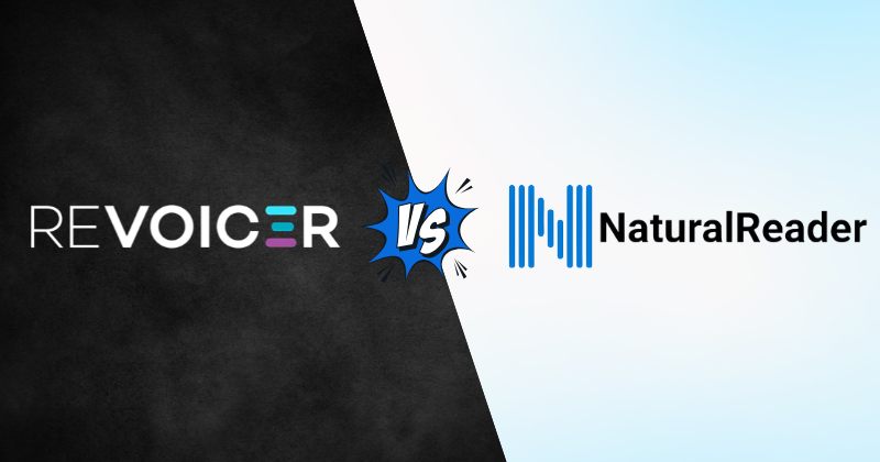 Revoicer vs NaturalReader