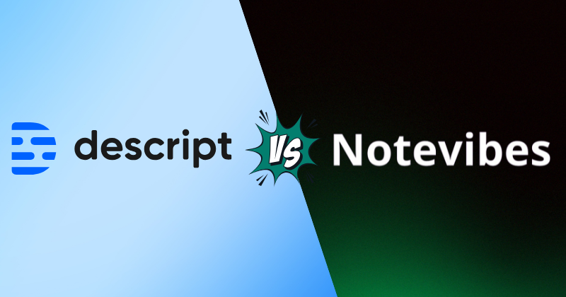 descript vs notevibes