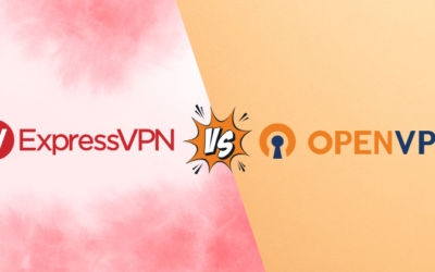 ExpressVPN vs OpenVPN: Which is The Best VPN in 2025?