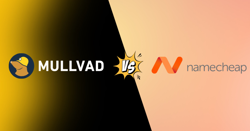 Mullvad vs Namecheap VPN