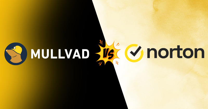 Mullvad vs Norton VPN