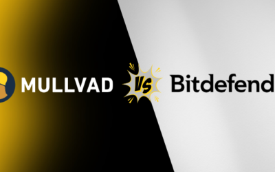 Mullvad vs Bitdefender VPN: Which is Best for Speed in 2025?