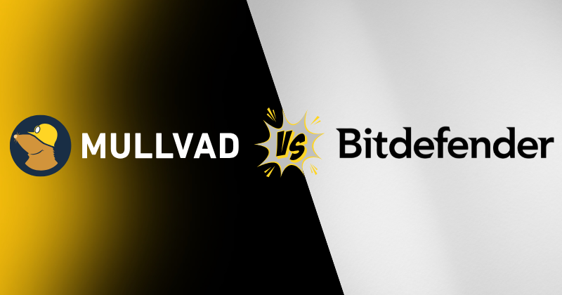 Mullvad vs Bitdefender VPN