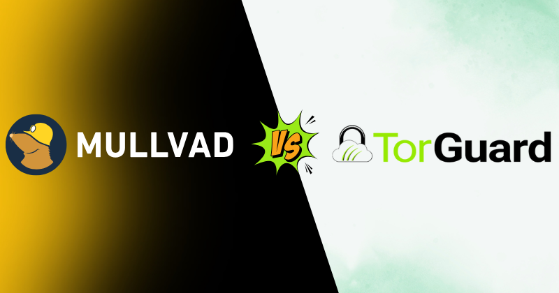 Mullvad vs TorGuard