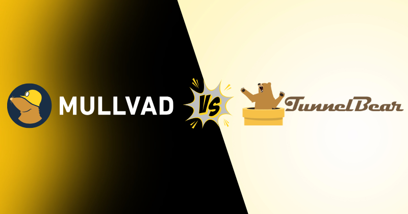 Mullvad vs TunnelBear