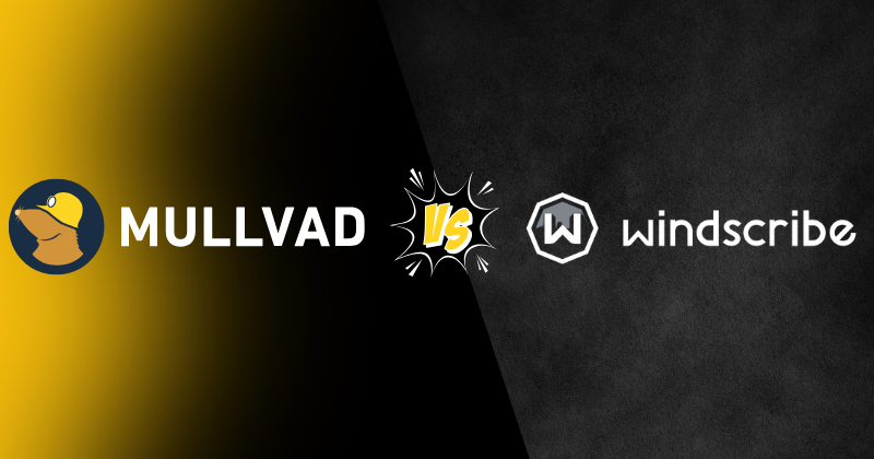 Mullvad vs Windscribe