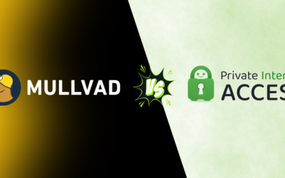 Mullvad vs Private Internet Access: Which VPN is Best in 2025?