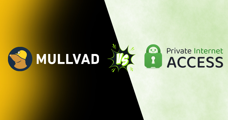 Mullvad vs Private Internet Access